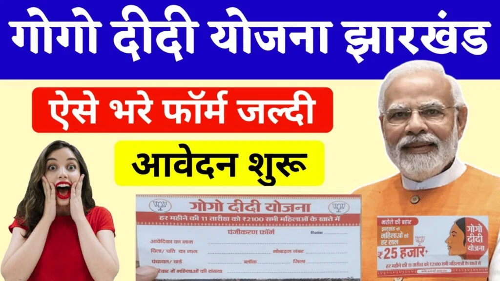 gogo didi yojana form